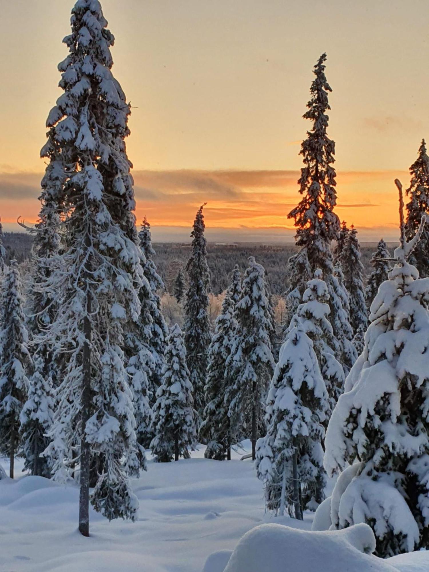 Hietavilla Borealis Rukatunturi Exterior foto